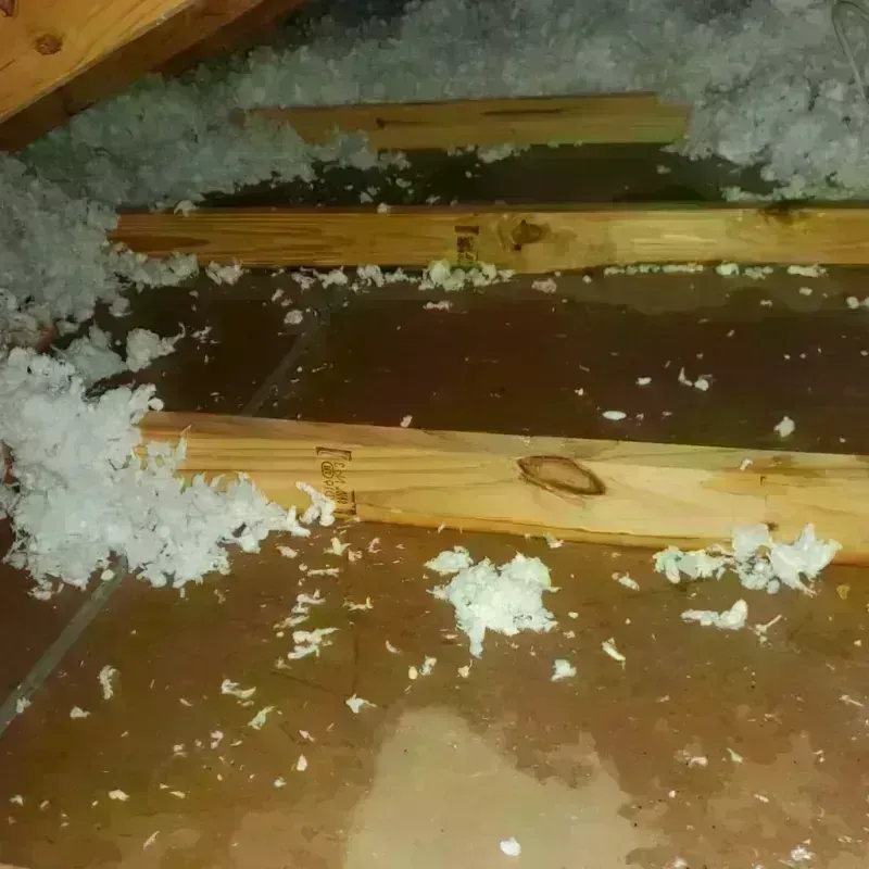 Attic Water Damage in East Sandwich, MA